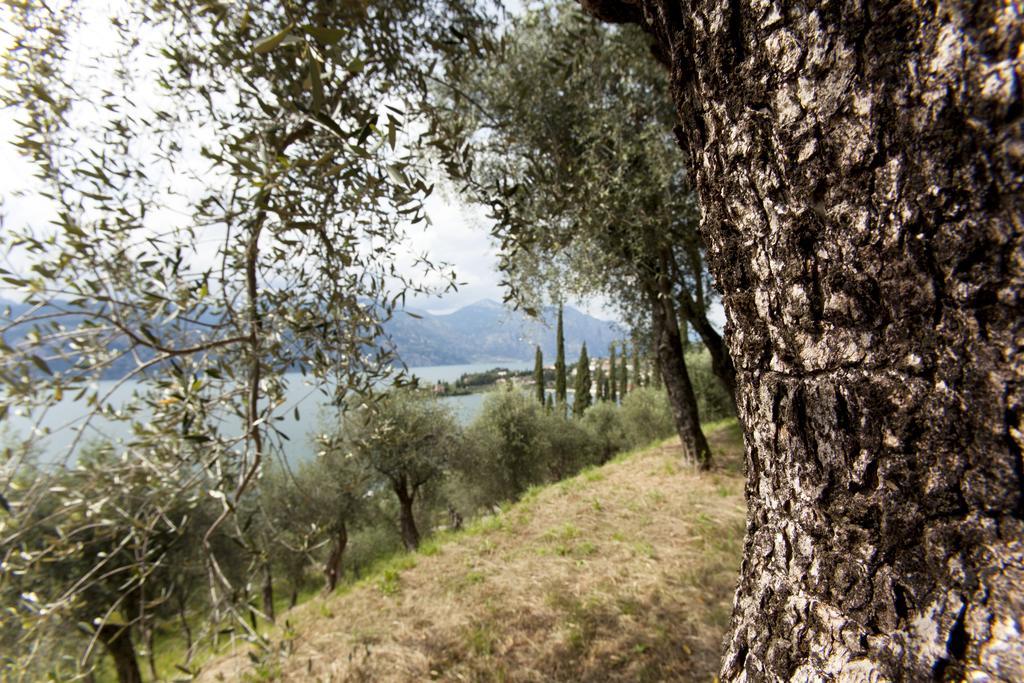 Residence Le Balze Malcesine Eksteriør bilde
